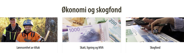 Økonomi og skogfond