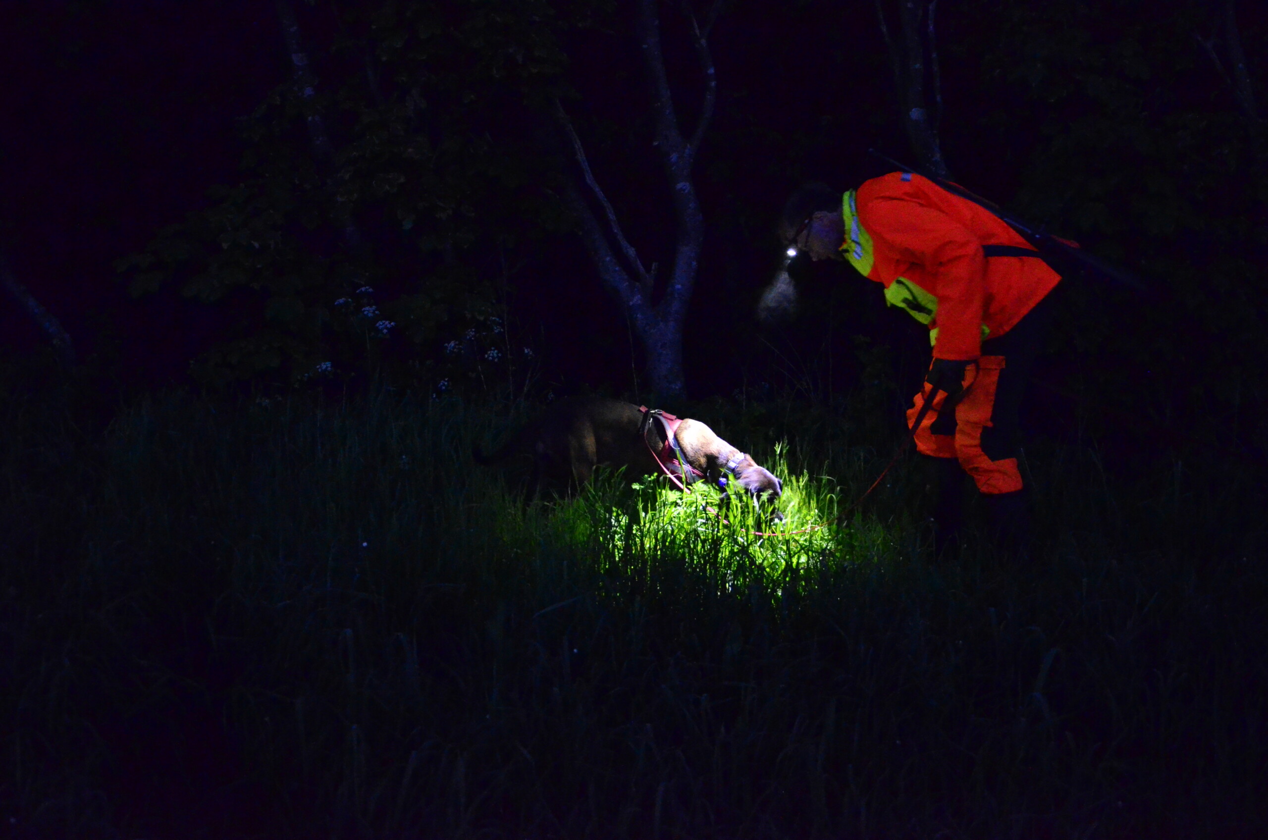 Økt sats­ning på ettersøk