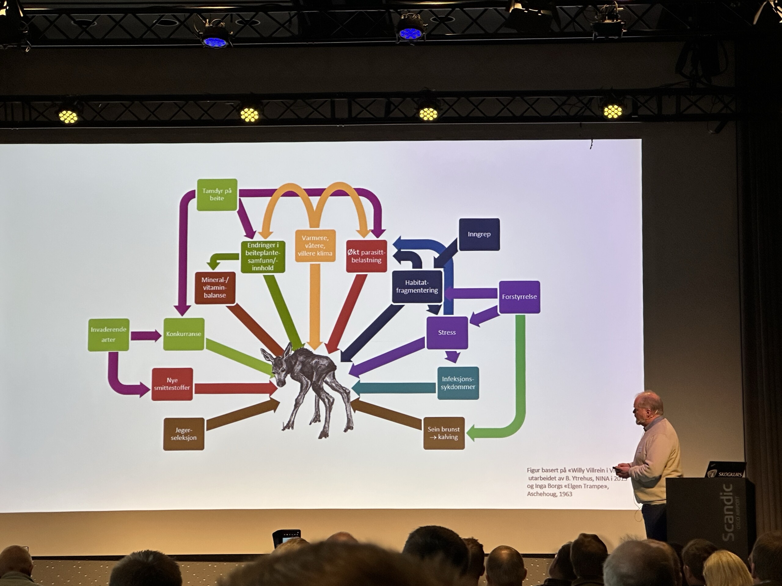 Elg, jakt og forvalt­ning i&nbsp;endring