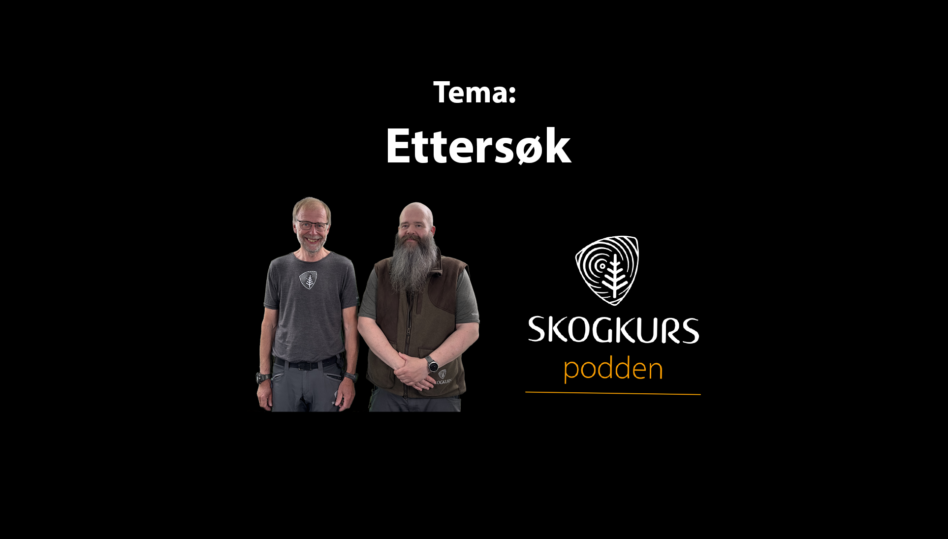Podcast: Ettersøk
