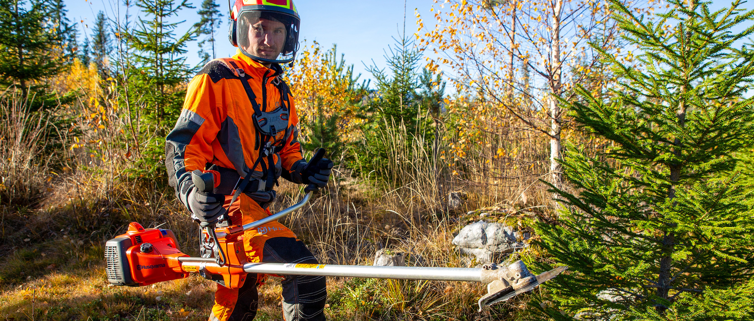 Skogsarbeider med ryddesag. foto
