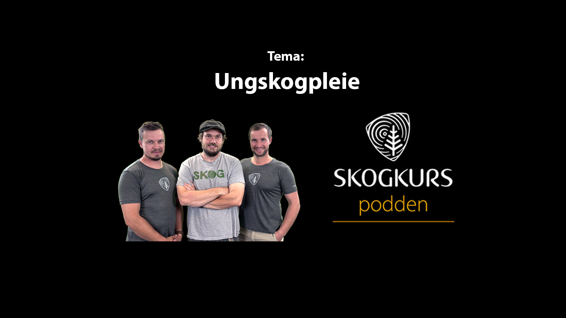 Podcast – Ungskogpleie, forming av framtidsskogen