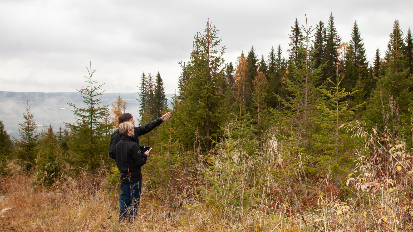 skogeiere ute på befaring på felt. de har pad med skogbruksplan og ser utover feltet.