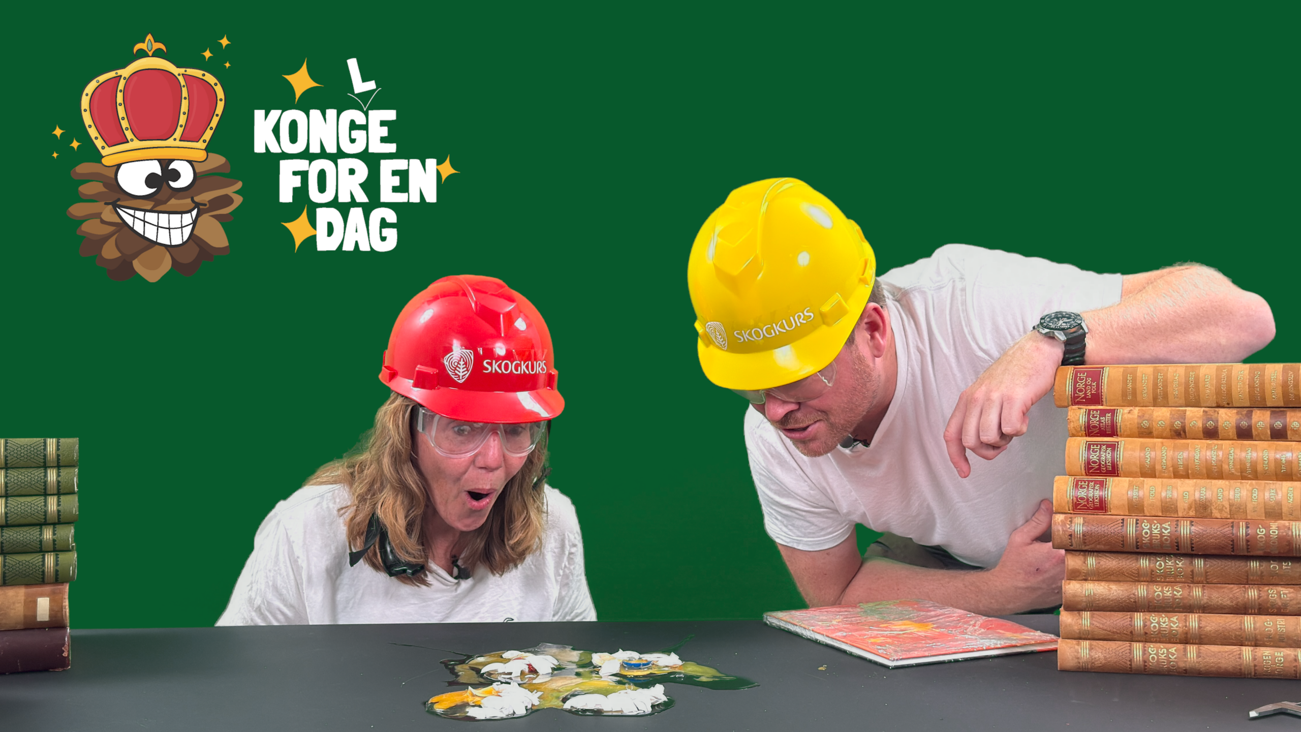 Uteskole med Kong(l)en og fuglene