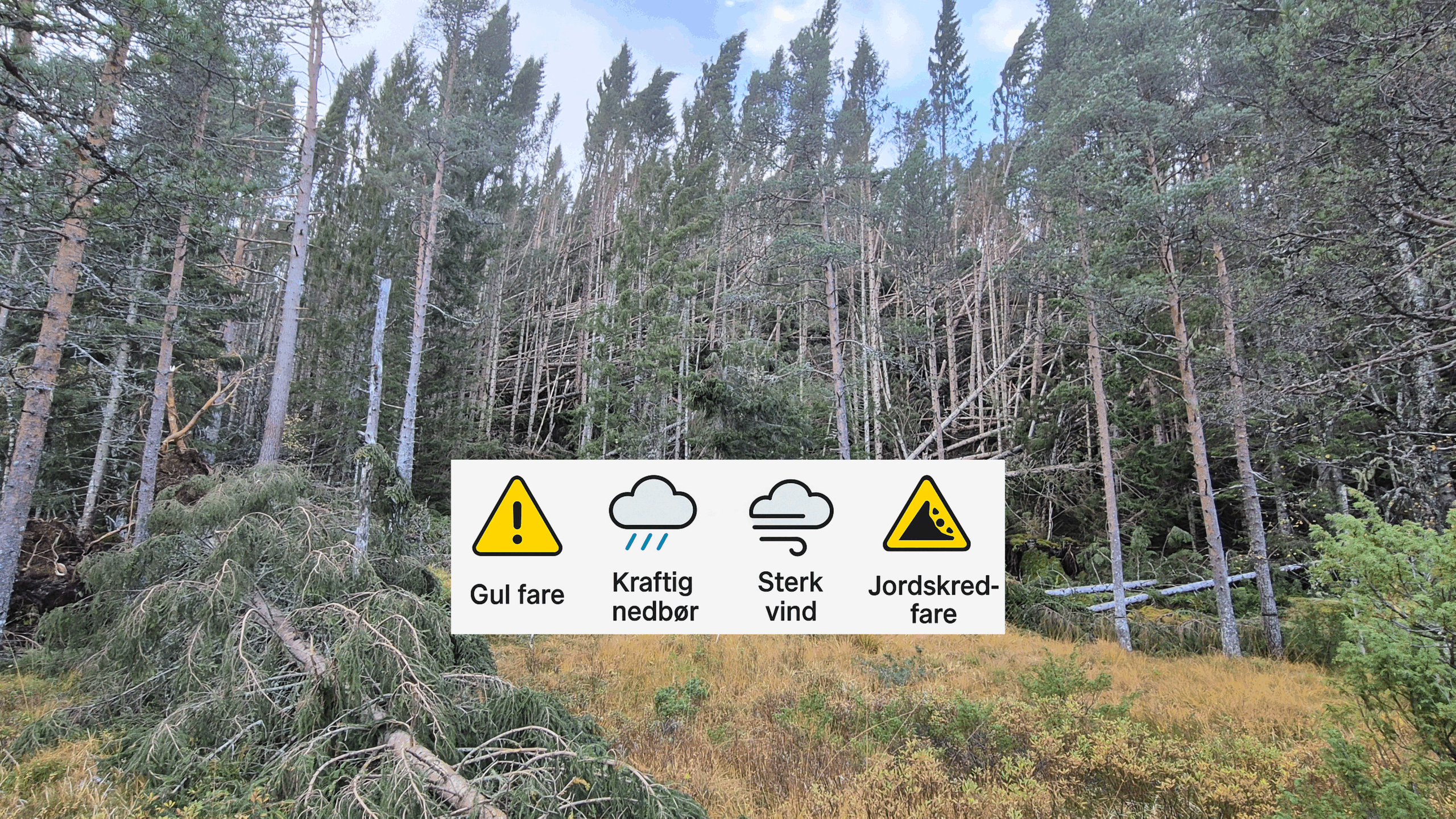 Klimatilpasning i&nbsp;jord- og skog­bruk – tre fagdager rundt om i&nbsp;landet