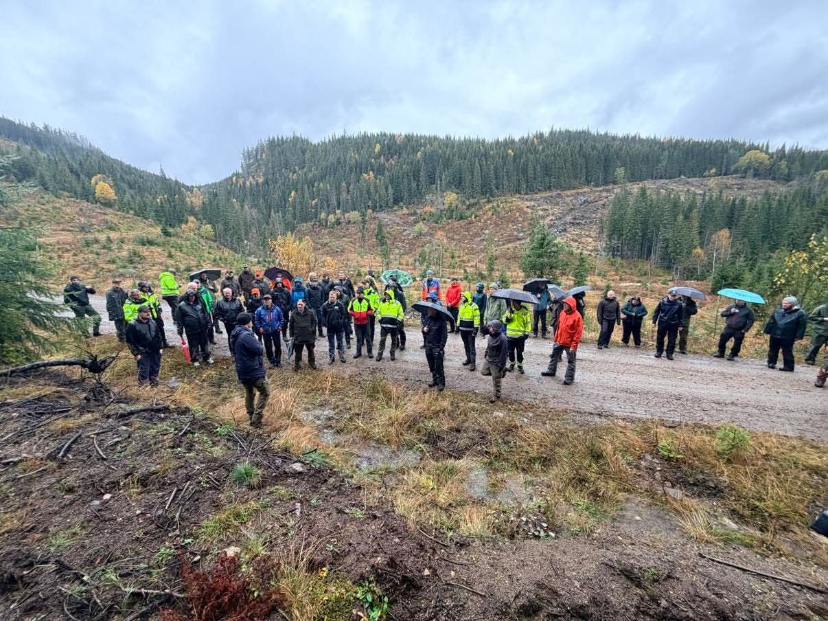 Presentasjoner fra Fagsamling vei 2026