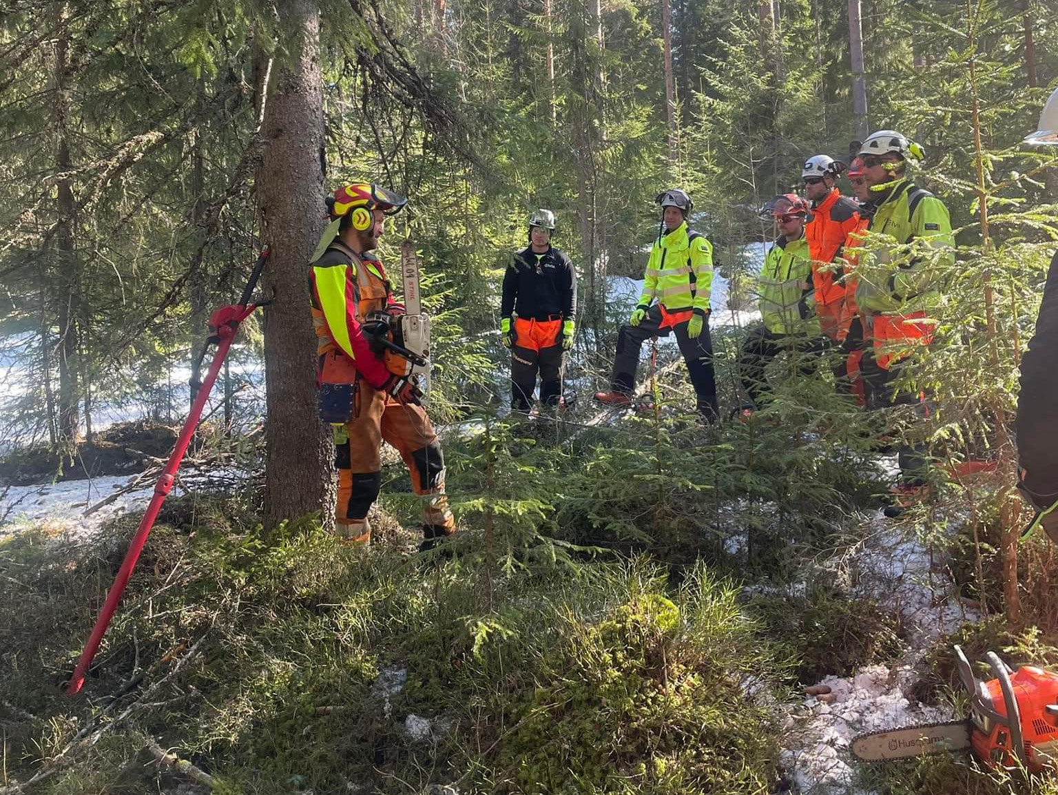 Er du vår nye Skogkursinstruktør i Troms?