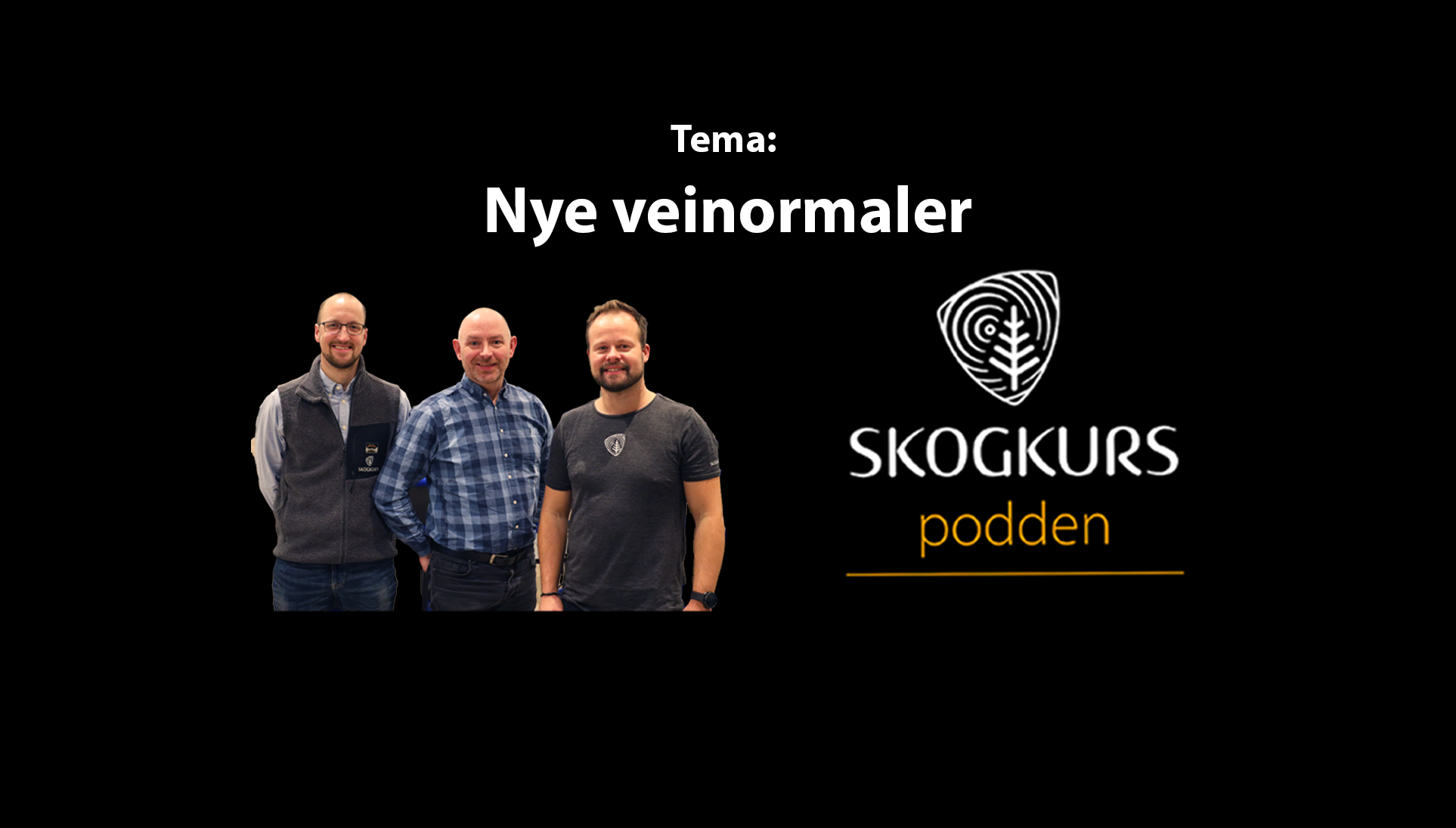 Podcast: Nye veinormaler