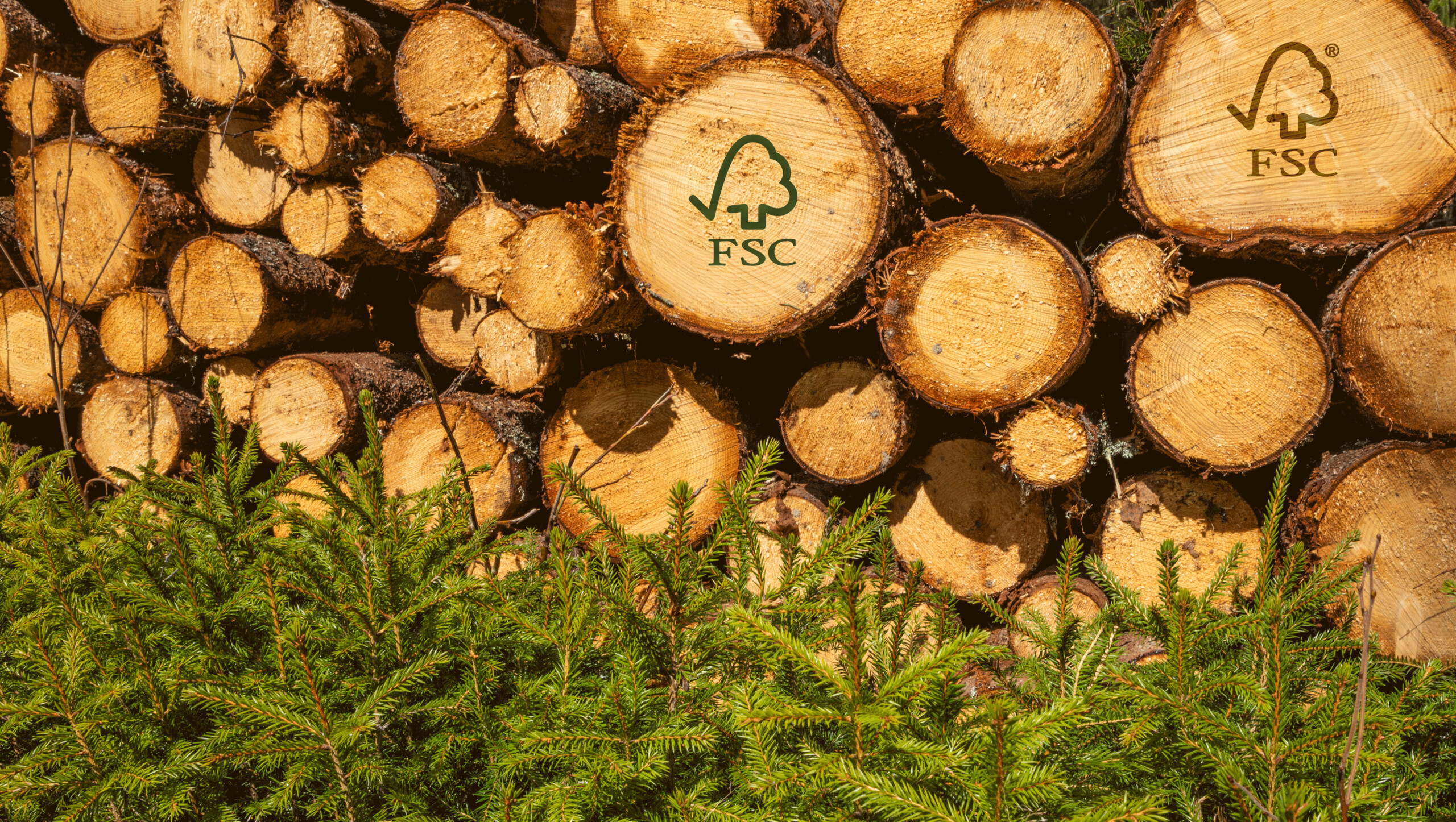 Ønsker du å&nbsp;bli dobbeltsertifisert?